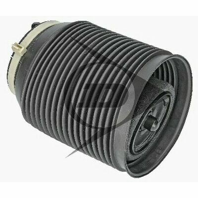 Recambio original Dunlop