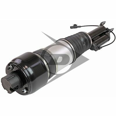 Recambio original Dunlop