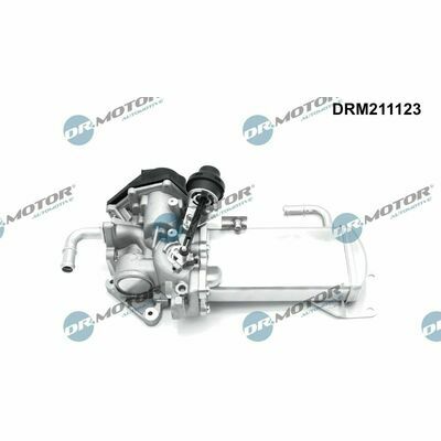 DRM211123