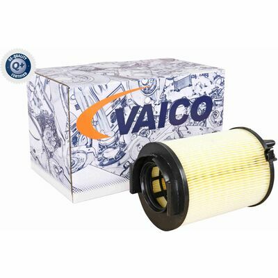 Q+,  Première Monte