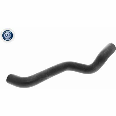 Q+,  Première Monte