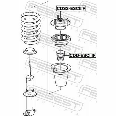 CDSS-ESCIIIF