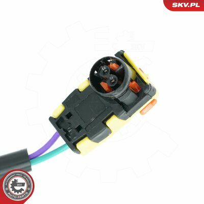 96SKV618