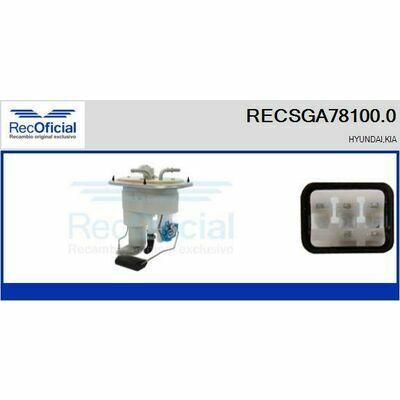 RECSGA78100.0