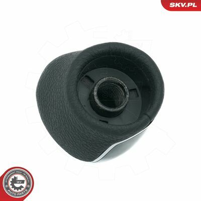 63SKV038
