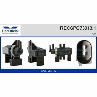 RECSPC73013.1