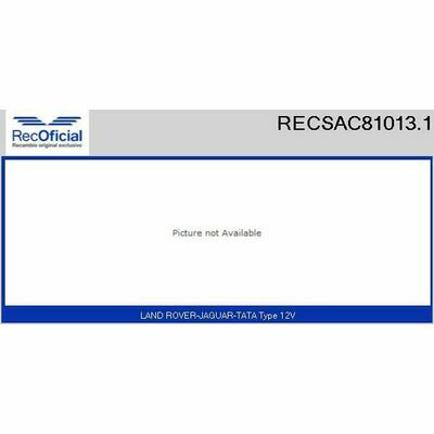 RECSAC81013.1