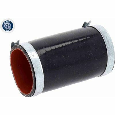 Q+,  Première Monte