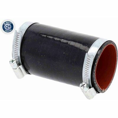 Q+,  Première Monte