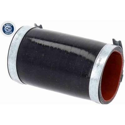 Q+,  Première Monte