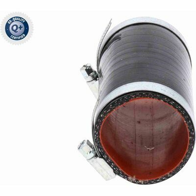 Q+,  Première Monte