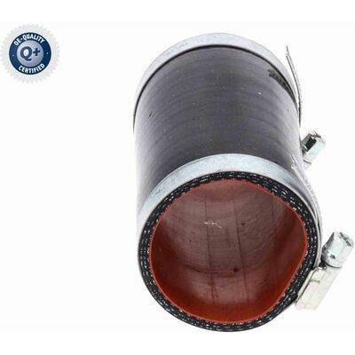 Q+,  Première Monte