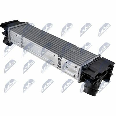 CCL-BM-091