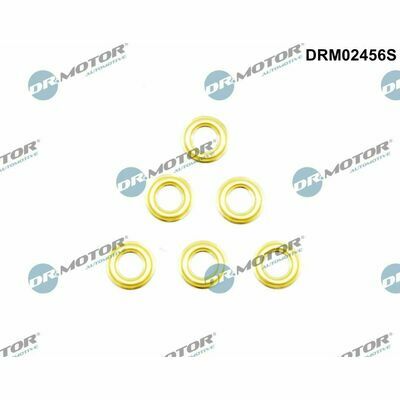 DRM02456S