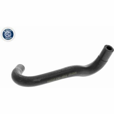 Q+,  Première Monte