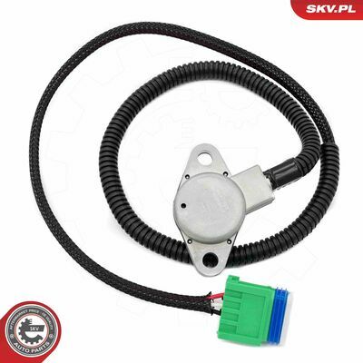 17SKV839