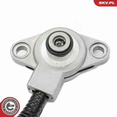 17SKV839