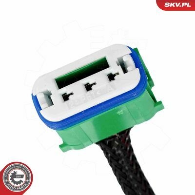 17SKV839