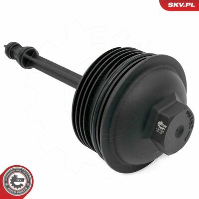 31SKV266