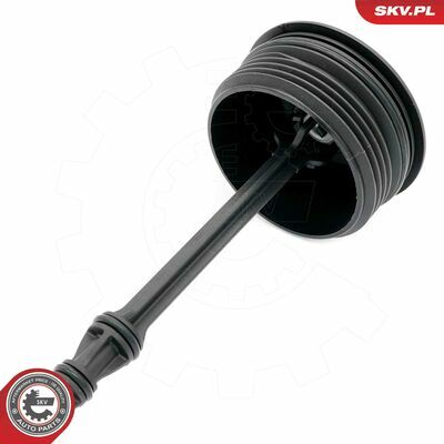 31SKV266