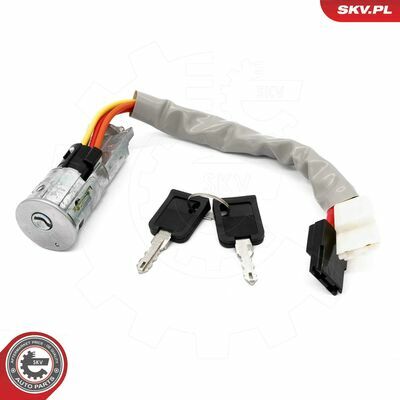 65SKV203