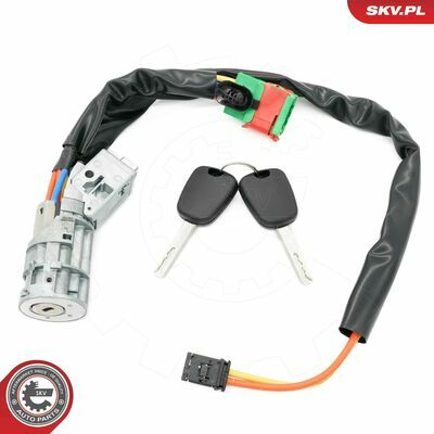 65SKV229