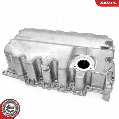 48SKV822