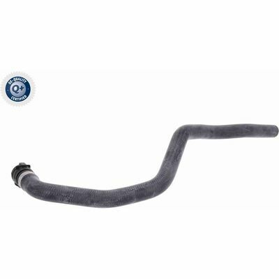 Q+,  Première Monte