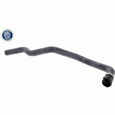 Q+,  Première Monte