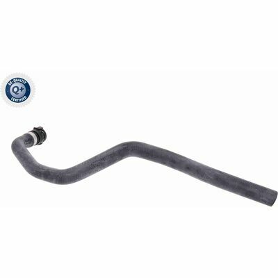 Q+,  Première Monte