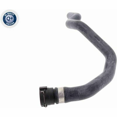 Q+,  Première Monte