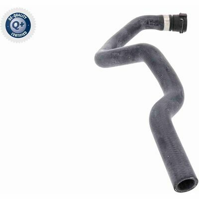 Q+,  Première Monte