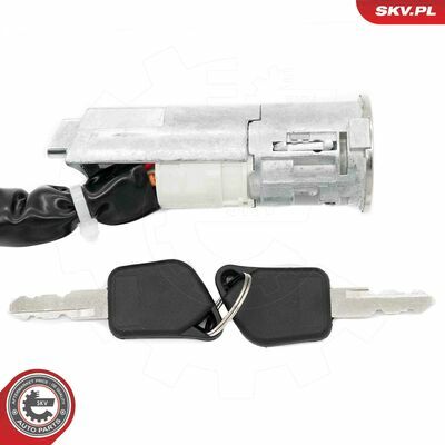 65SKV224