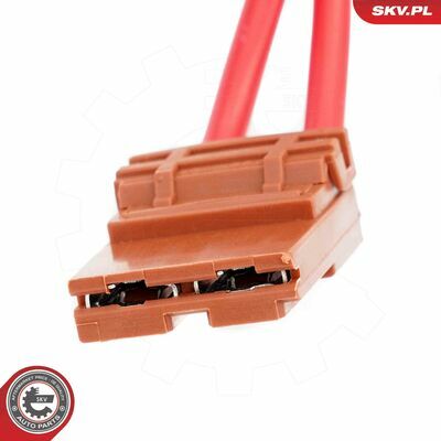 65SKV224