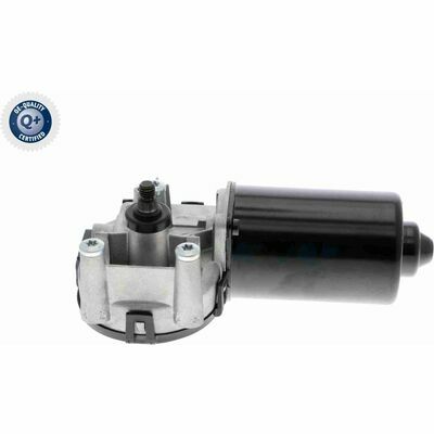 Q+,  Première Monte