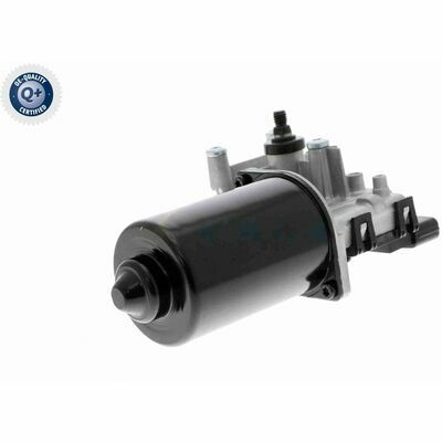 Q+,  Première Monte