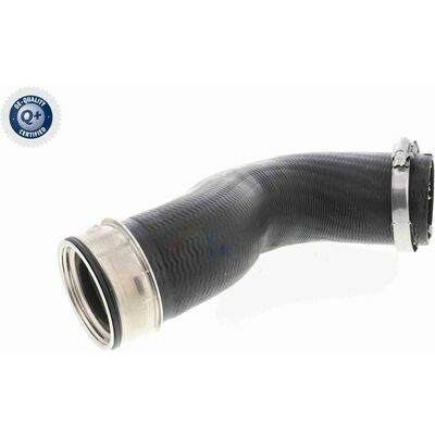 Q+,  Première Monte