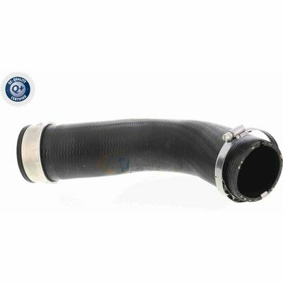 Q+,  Première Monte