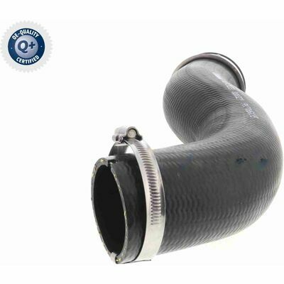 Q+,  Première Monte