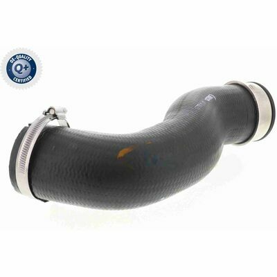 Q+,  Première Monte