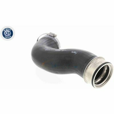 Q+,  Première Monte