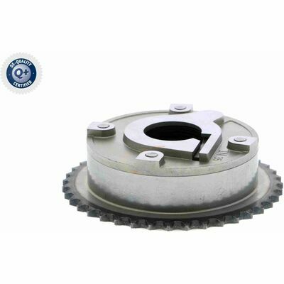 Q+,  Première Monte