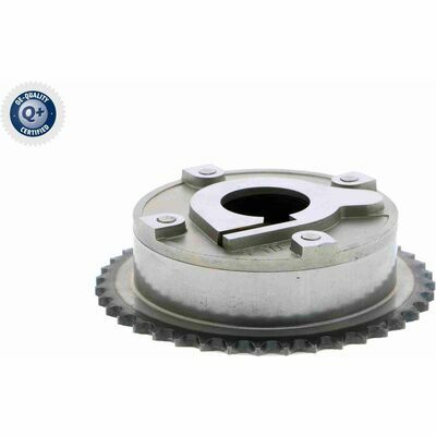 Q+,  Première Monte