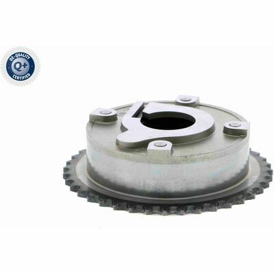 Q+,  Première Monte