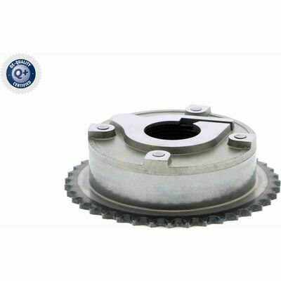 Q+,  Première Monte