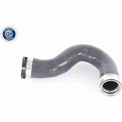 Q+,  Première Monte