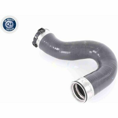 Q+,  Première Monte