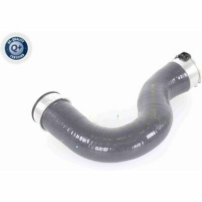 Q+,  Première Monte