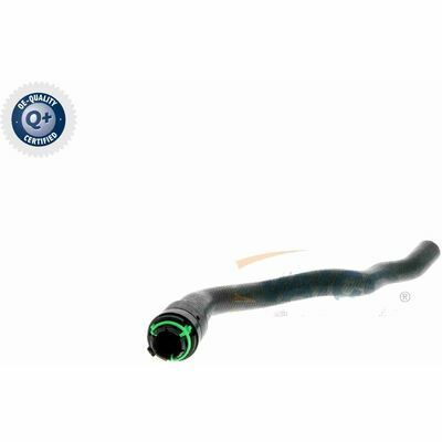 Q+,  Première Monte