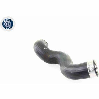 Q+ qualità di primo fornitore